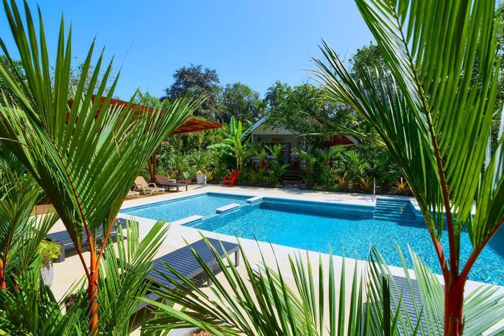 Casa Kristel - Exquisite Villa Getaway Puerto Viejo de Talamanca ภายนอก รูปภาพ